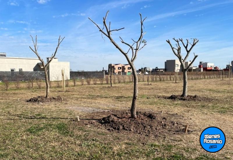Terrenos - Funes - Venta