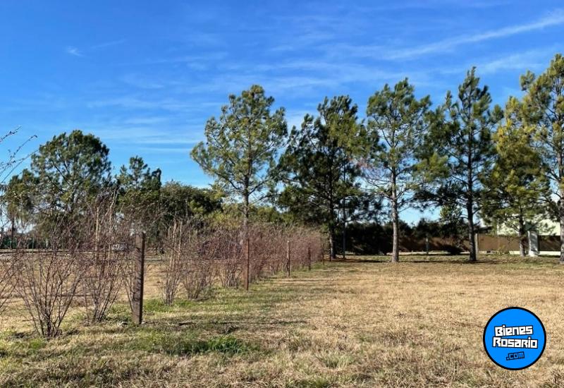 Terrenos - Funes - Venta