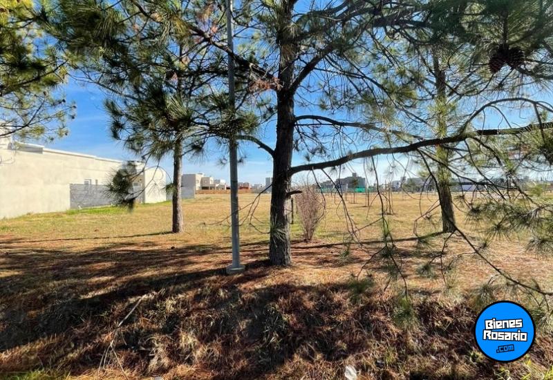 Terrenos - Funes - Venta