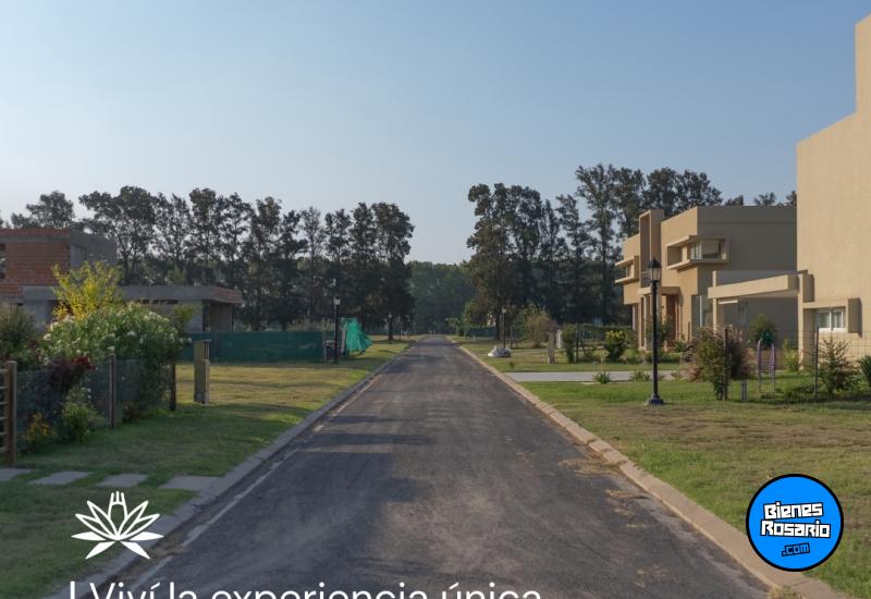 Terrenos - Fighiera - Venta