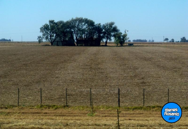 Terrenos - Andino - Venta