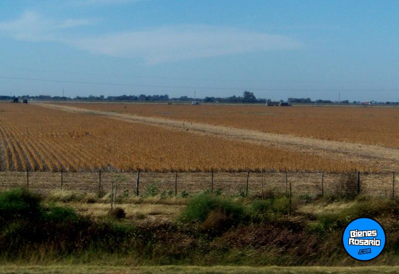 Terrenos - Andino - Venta