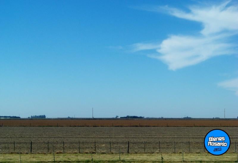 Terrenos - Andino - Venta