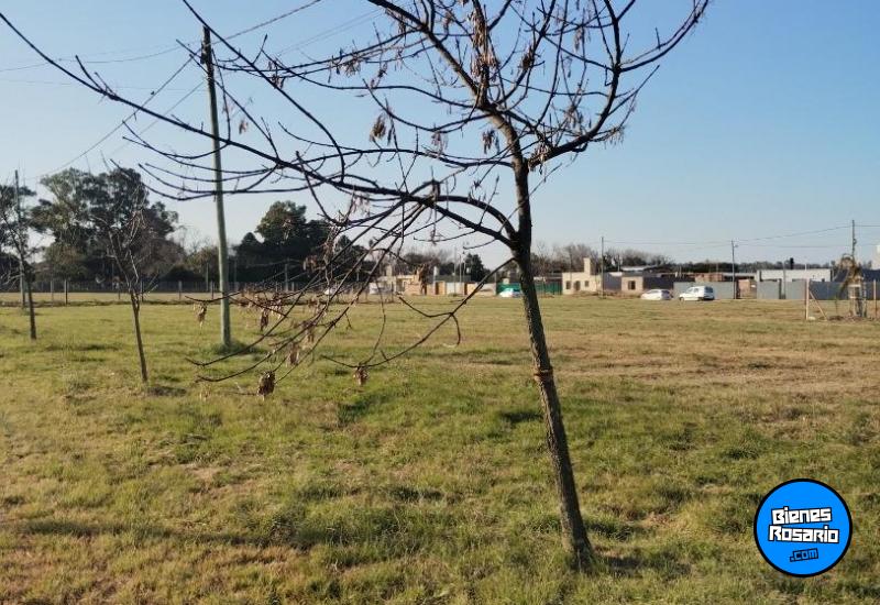 Terrenos - Granadero Baigorria - Venta