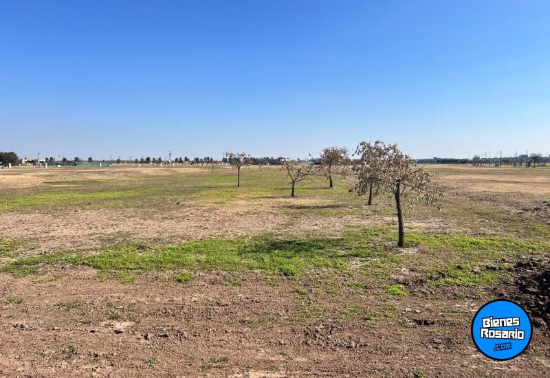 Terrenos - Funes - Venta