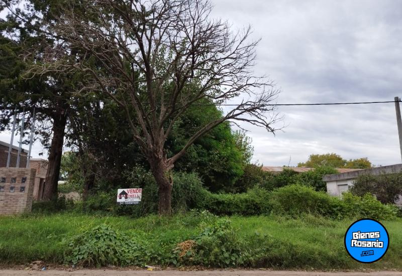 Terrenos - Alvarez - Venta