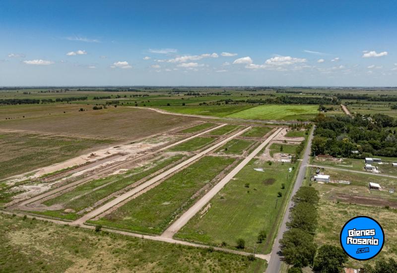 Terrenos - Ibarlucea - Venta