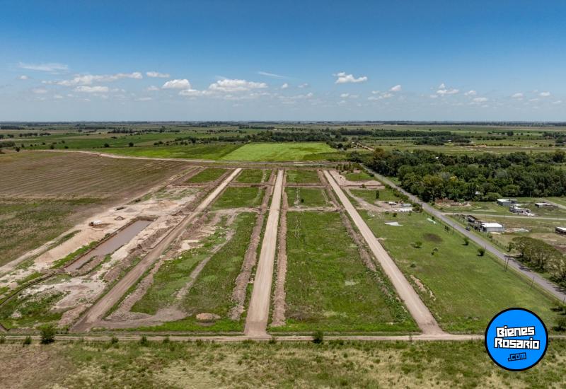 Terrenos - Ibarlucea - Venta