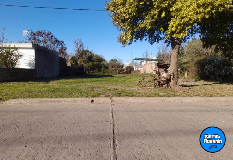 Terrenos - Bombal - Venta
