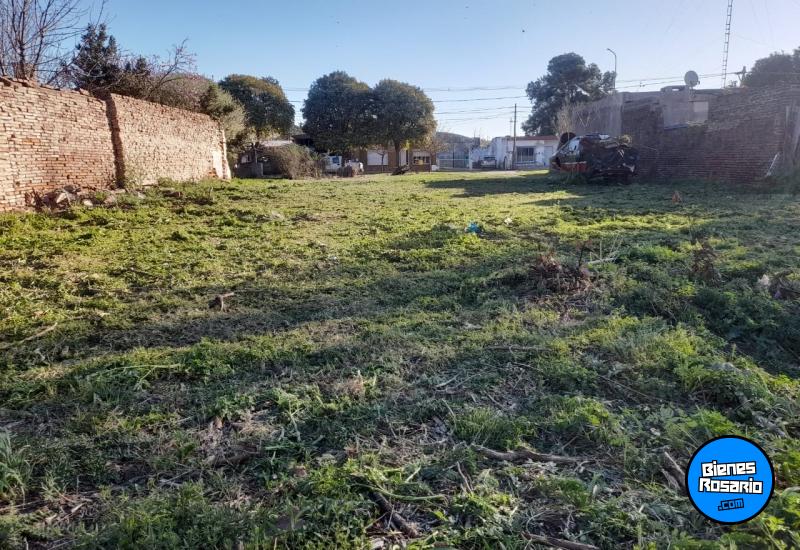 Terrenos - Bombal - Venta