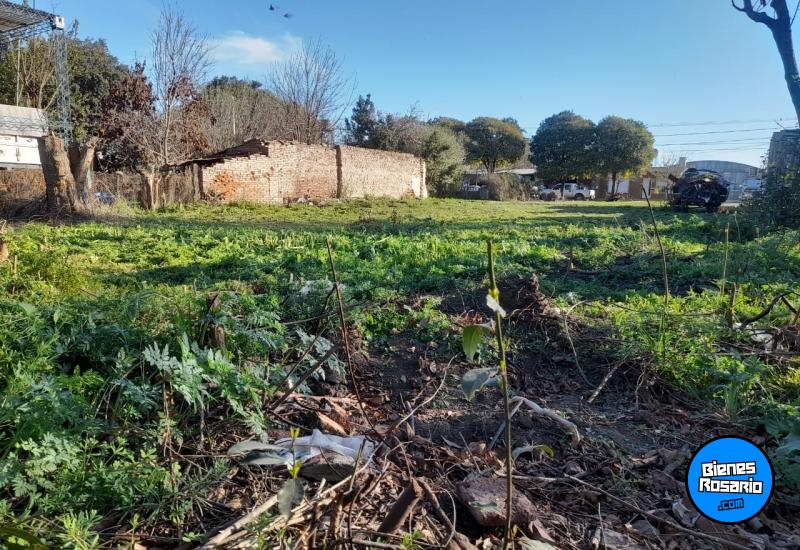 Terrenos - Bombal - Venta