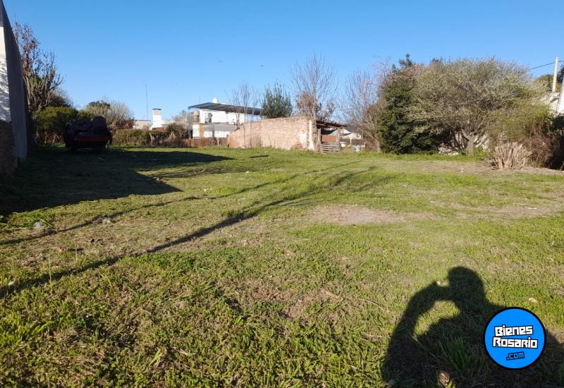 Terrenos - Bombal - Venta