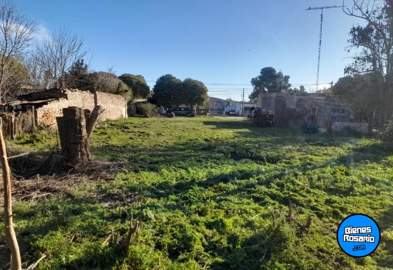 Terrenos - Bombal - Venta