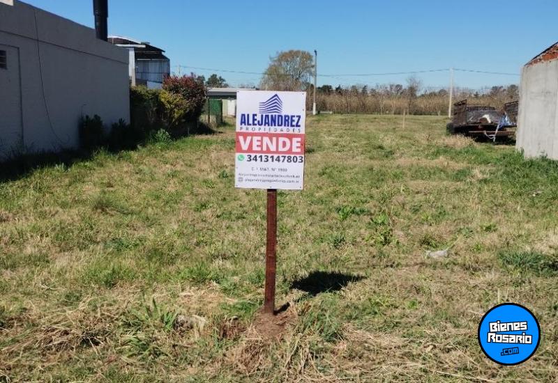 Terrenos - Ibarlucea - Venta