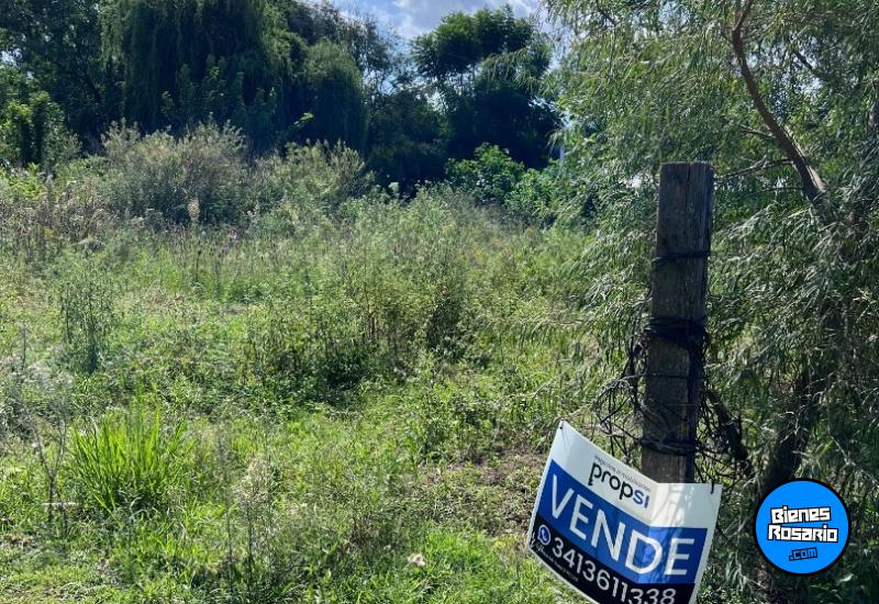 Terrenos - Ibarlucea - Venta
