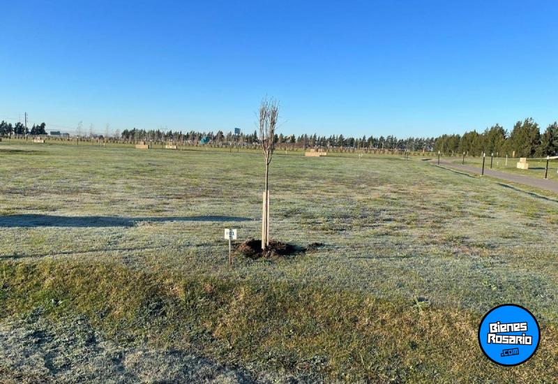 Terrenos - Rosario - Venta