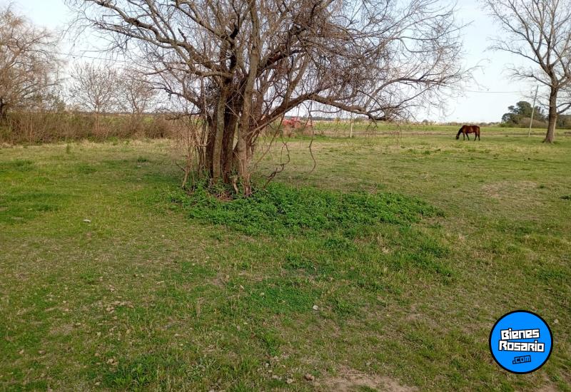 Terrenos - Arroyo Seco - Venta