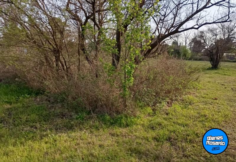 Terrenos - Arroyo Seco - Venta