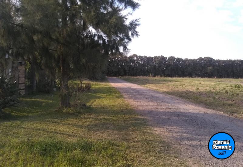 Terrenos - Arroyo Seco - Venta