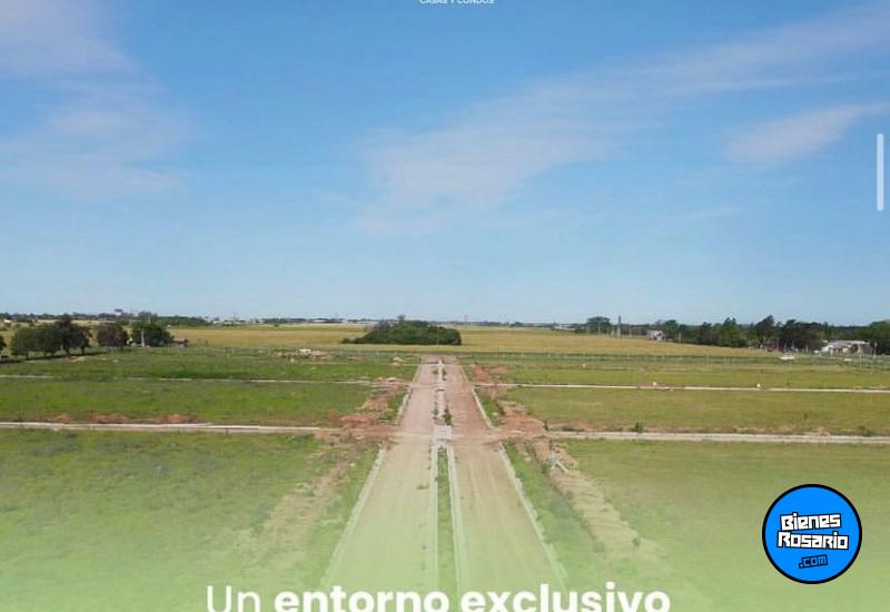 Terrenos - Alvear - Venta