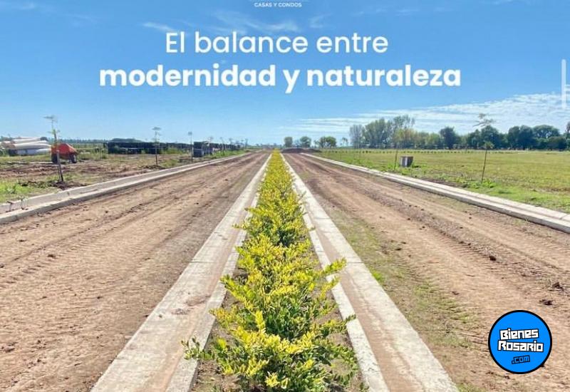 Terrenos - Alvear - Venta