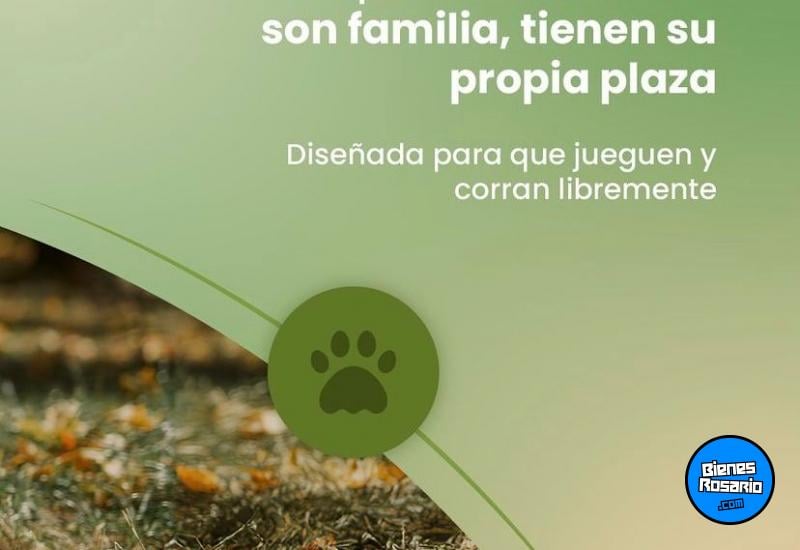 Terrenos - Alvear - Venta