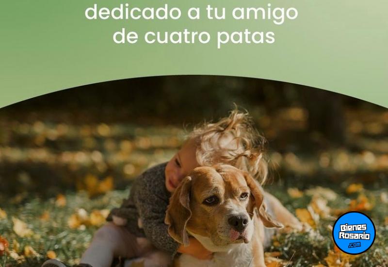 Terrenos - Alvear - Venta