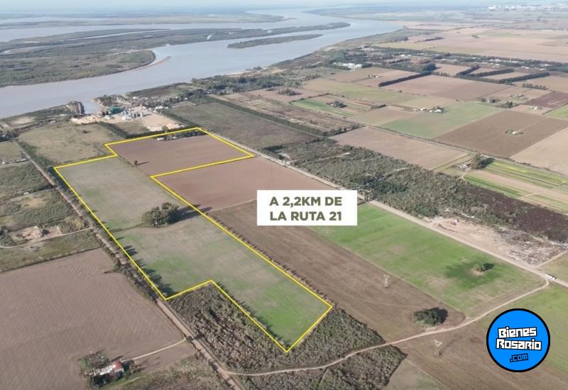 Campos - Fighiera - Venta