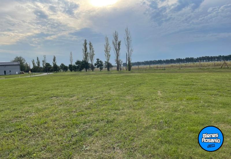 Terrenos - Ibarlucea - Venta