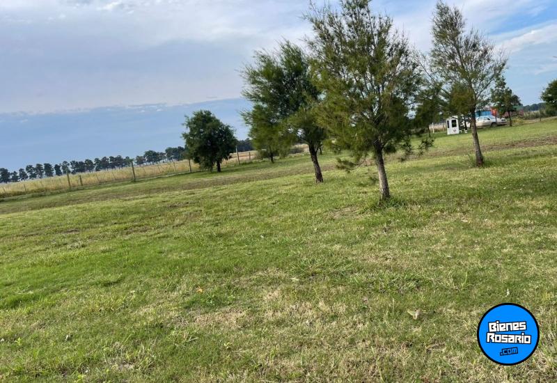 Terrenos - Ibarlucea - Venta