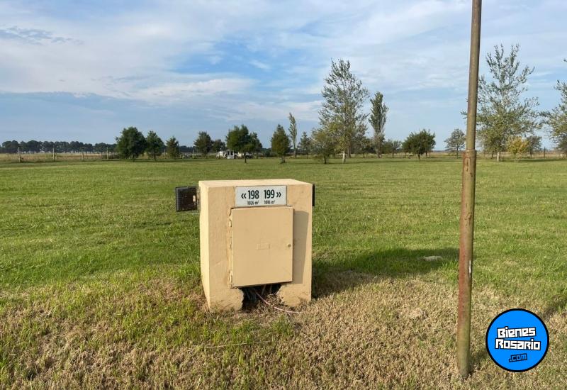 Terrenos - Ibarlucea - Venta