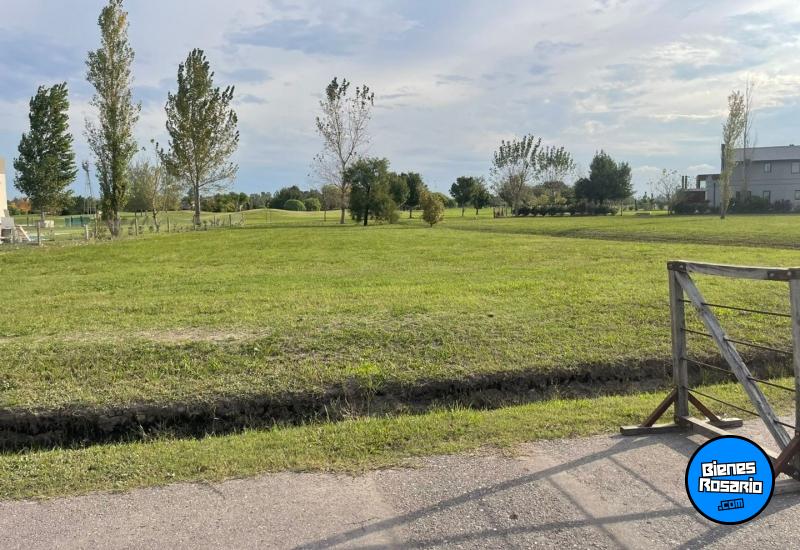 Terrenos - Ibarlucea - Venta