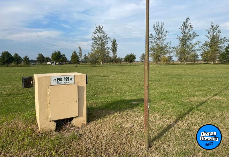Terrenos - Ibarlucea - Venta