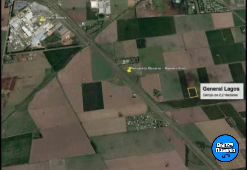 Campos - General Lagos - Venta