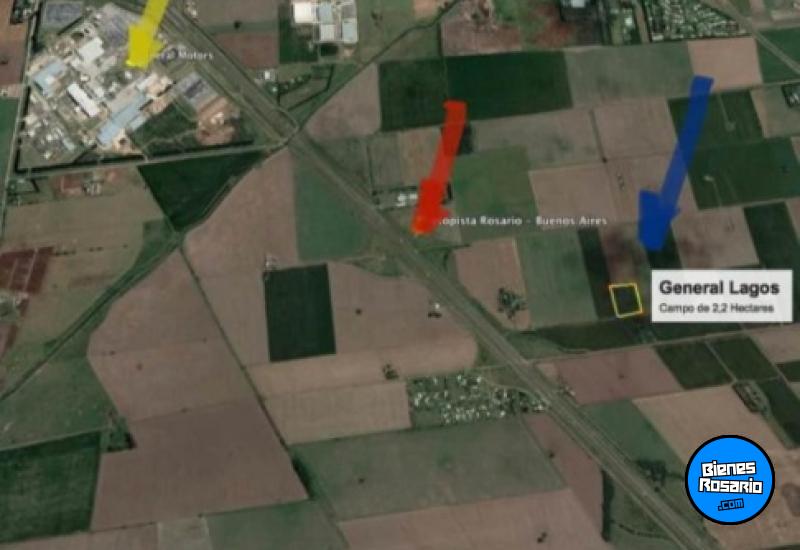 Campos - General Lagos - Venta