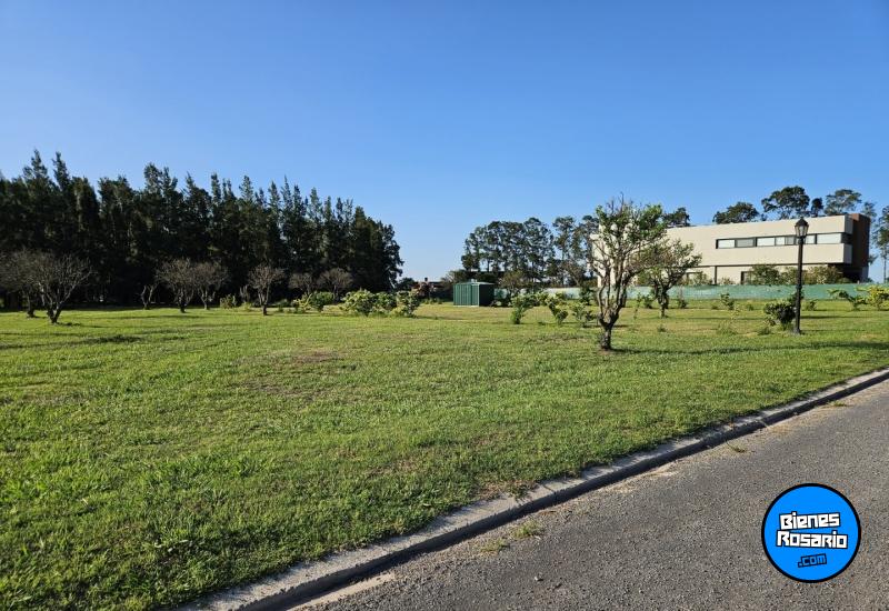 Terrenos - Fighiera - Venta