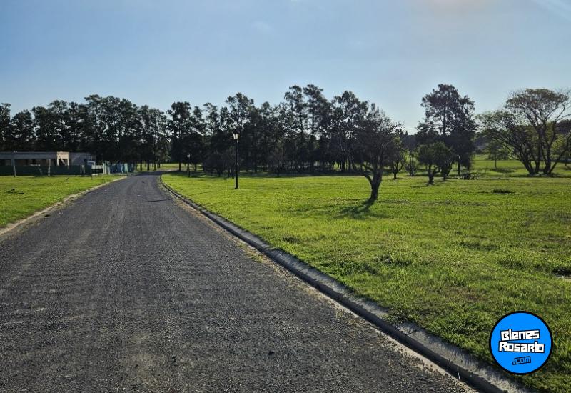 Terrenos - Fighiera - Venta