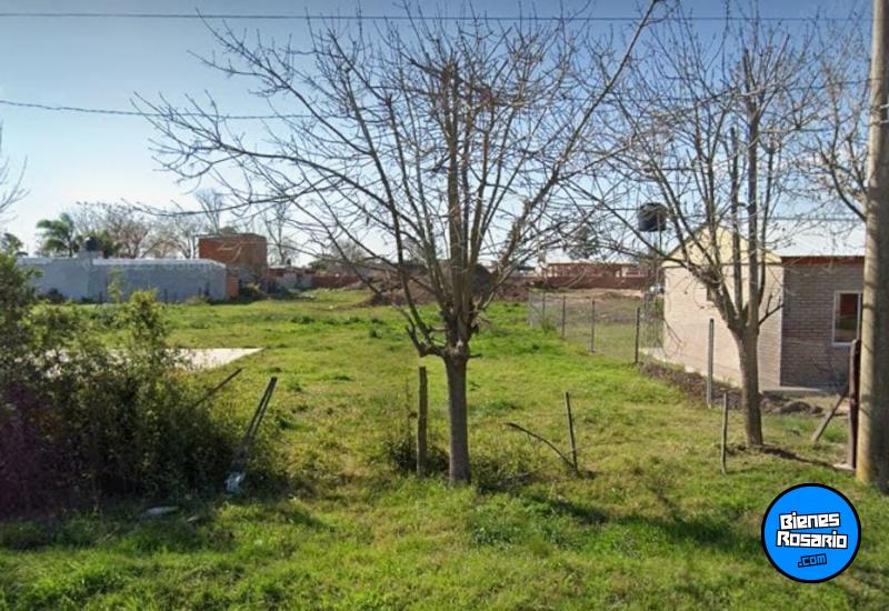 Terrenos - Andino - Venta