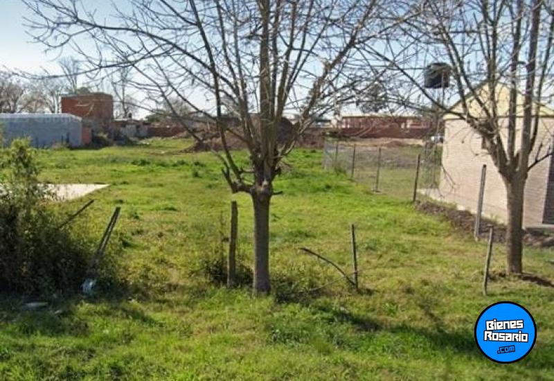 Terrenos - Andino - Venta