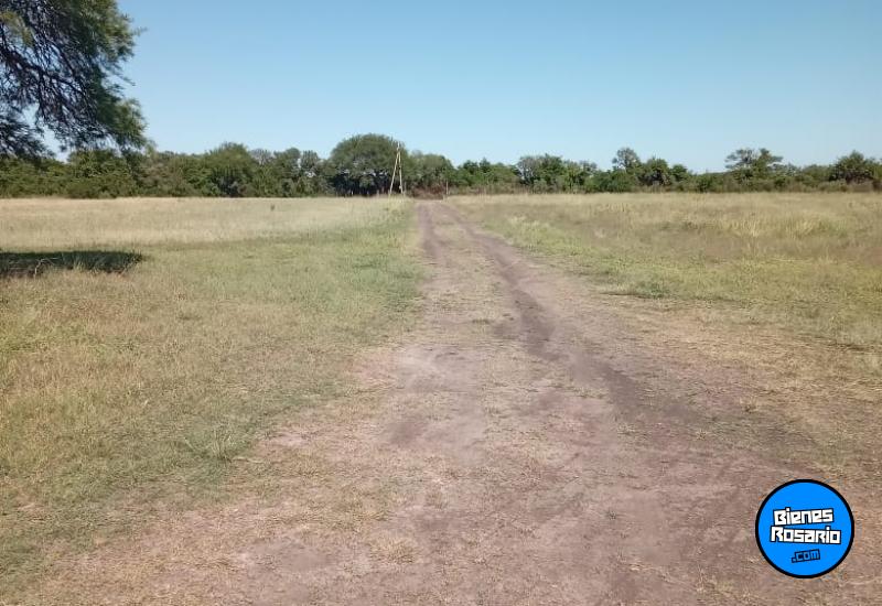Campos - La Paz - Venta