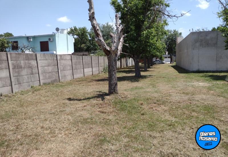 Terrenos - Oliveros - Venta