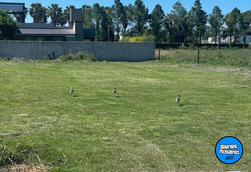 Terrenos - Funes - Venta