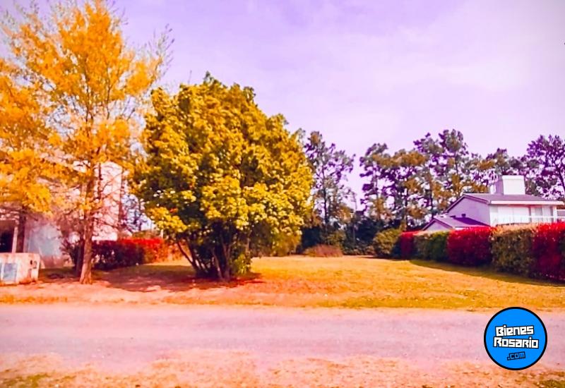 Terrenos - General Lagos - Venta