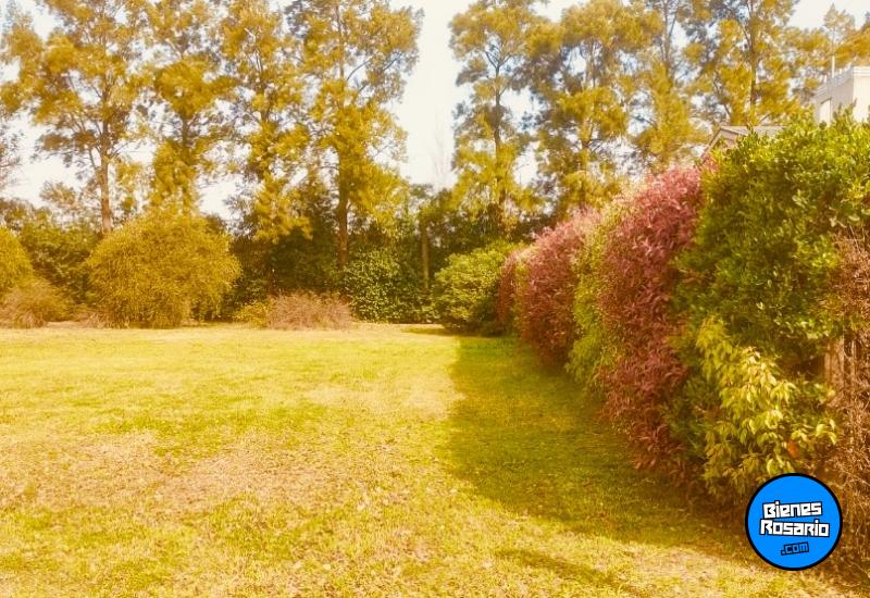 Terrenos - General Lagos - Venta