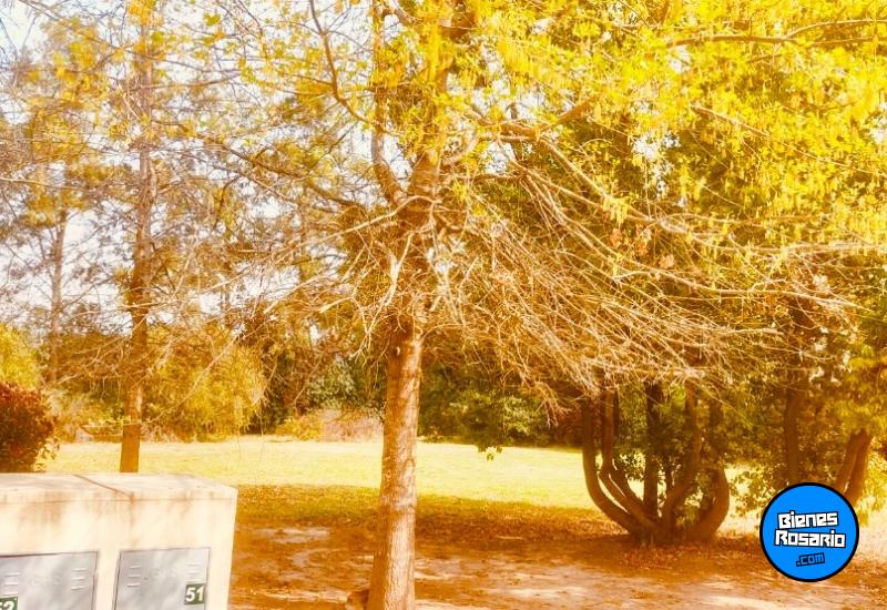 Terrenos - General Lagos - Venta