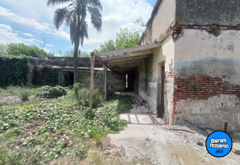 Terrenos - Salto Grande - Venta