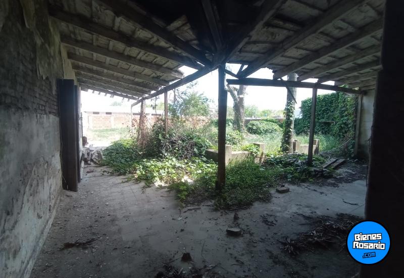 Terrenos - Salto Grande - Venta