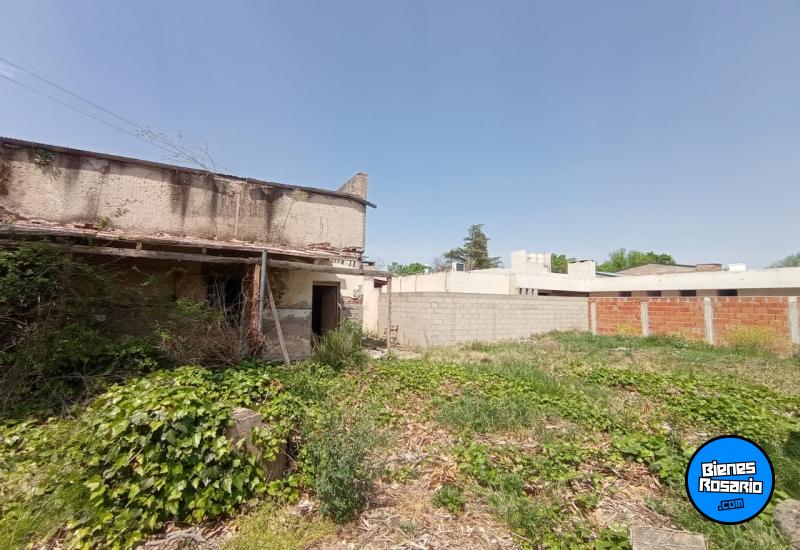 Terrenos - Salto Grande - Venta