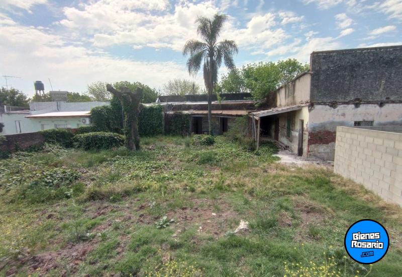 Terrenos - Salto Grande - Venta