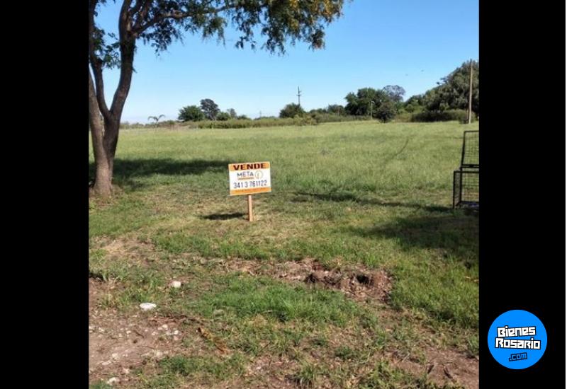 Terrenos - Oliveros - Venta